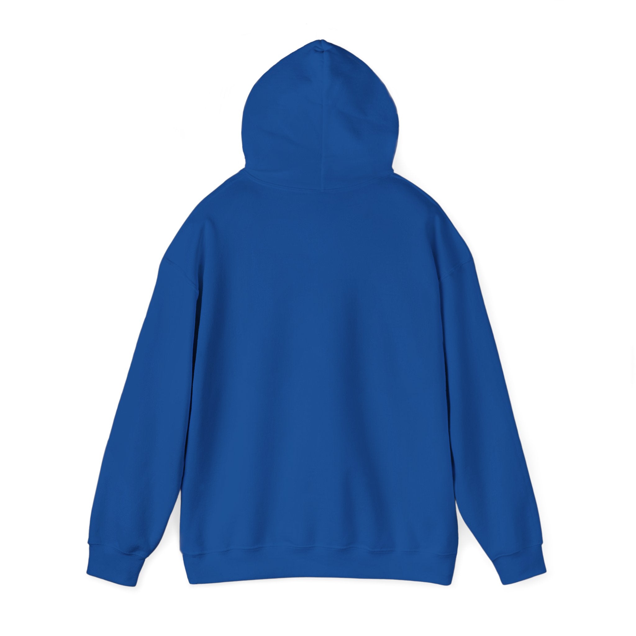 Store Hoodie