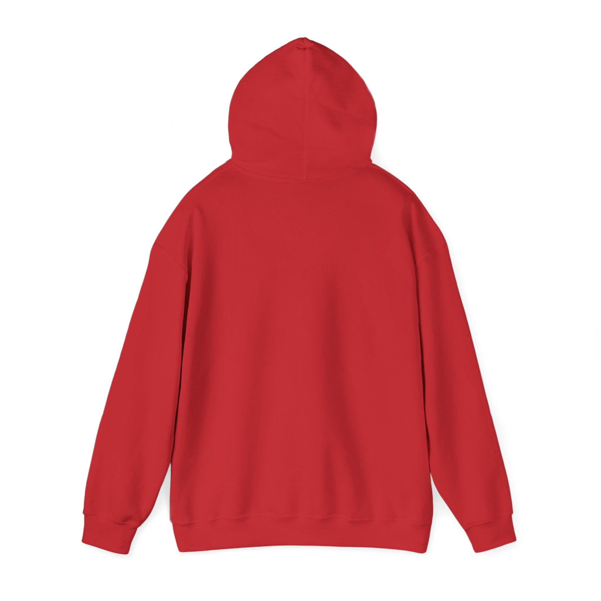 Store Hoodie