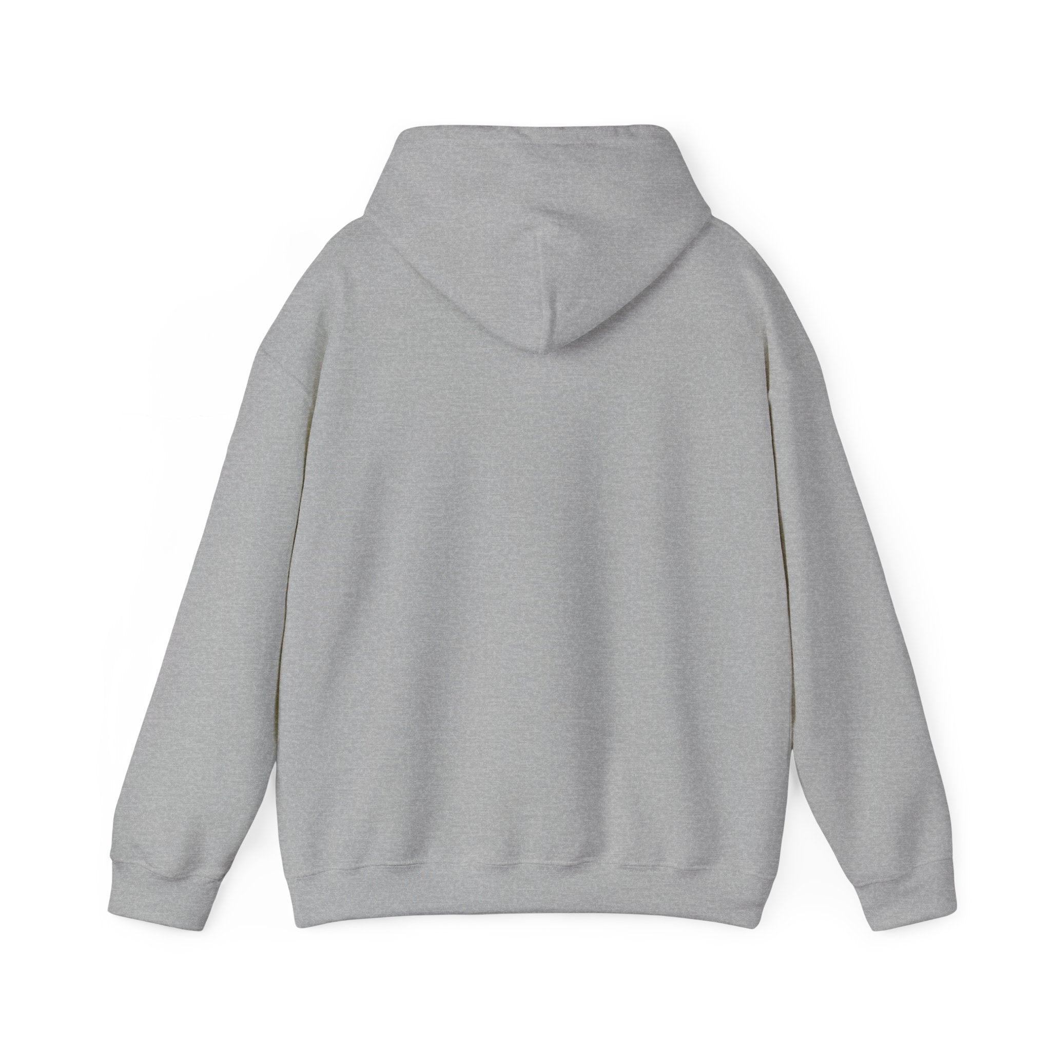Store Hoodie