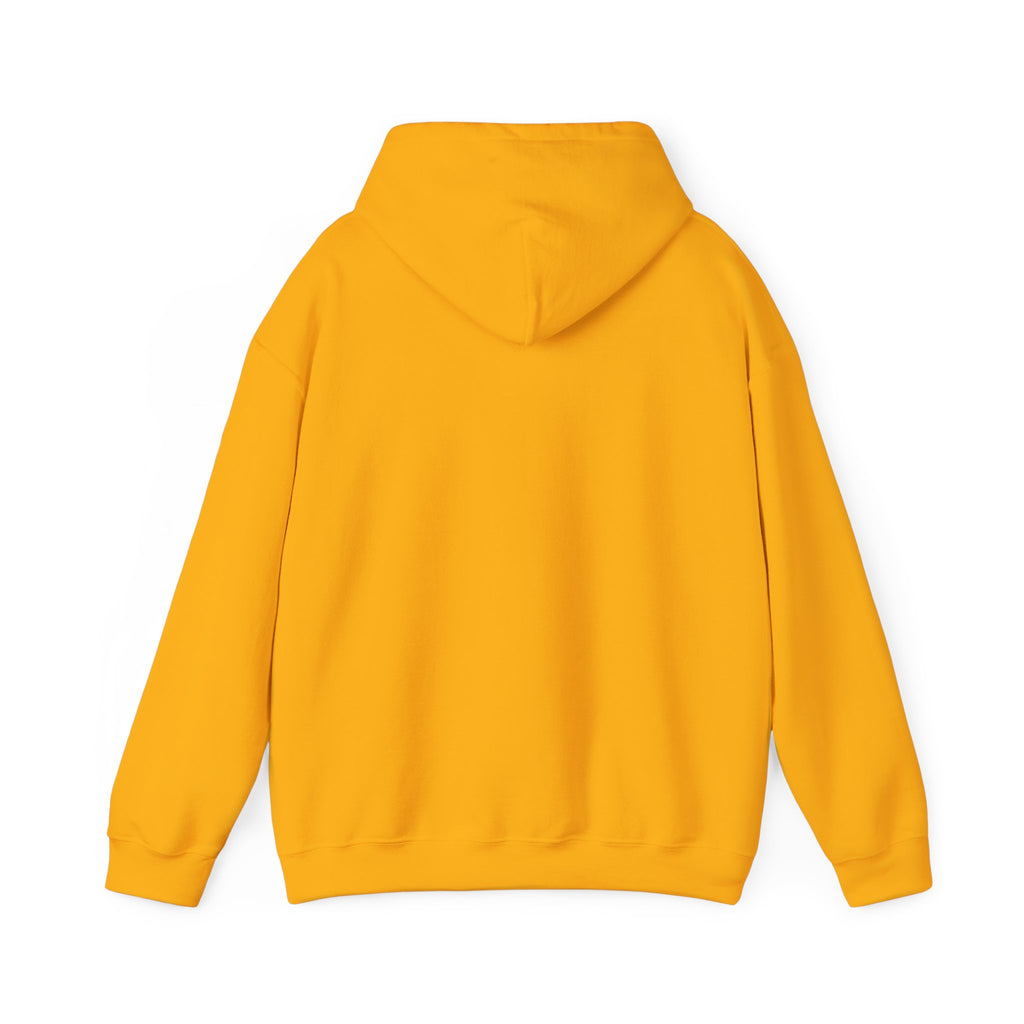Store Hoodie