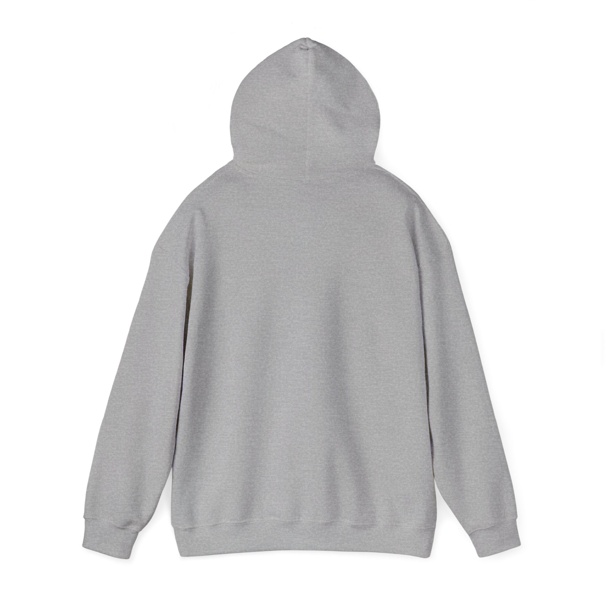 Store Hoodie