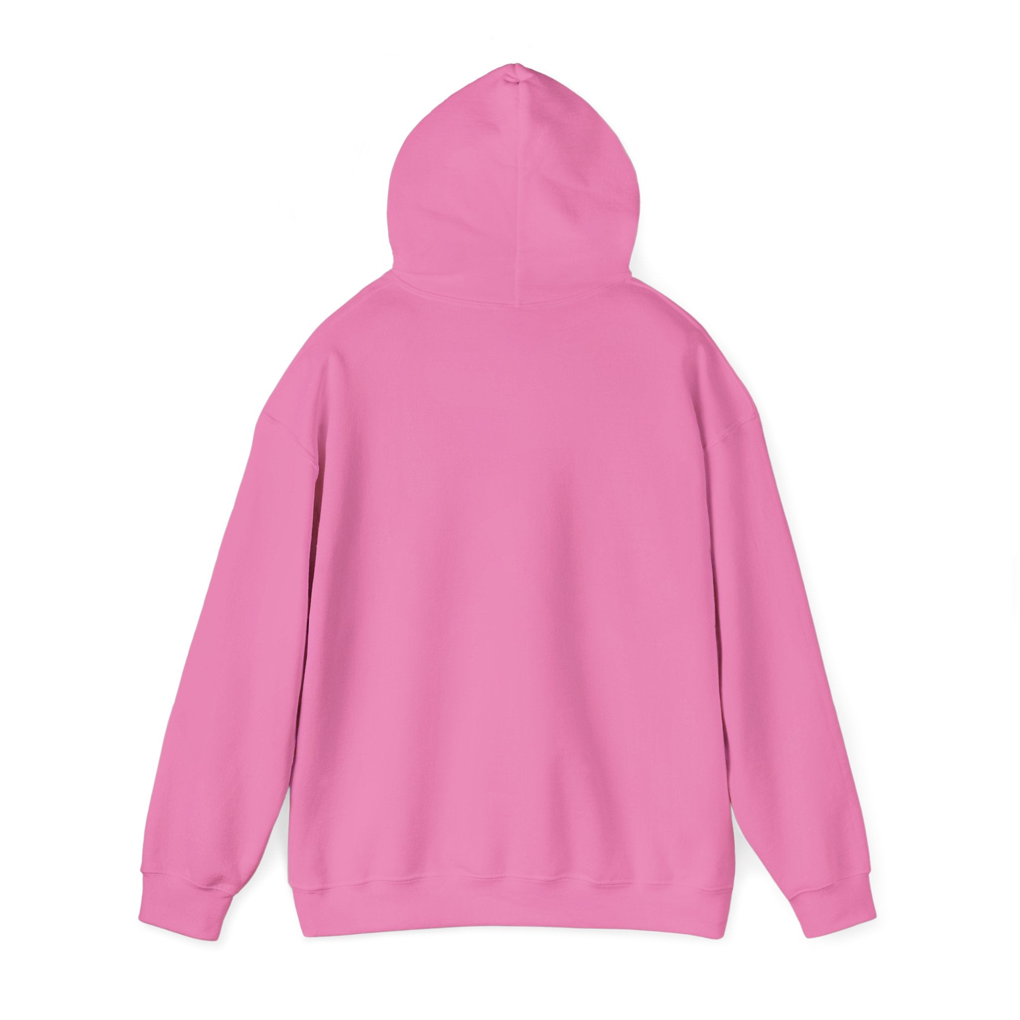 Store Hoodie